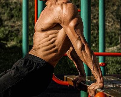 Chest and triceps muscle building